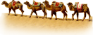 Xinjiang Tours Xinjiang Tours