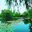 West Lake, Hangzhou