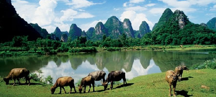 Hong Kong to Guilin Tours