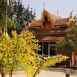 Xishuangbanna