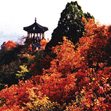 Fragrant Hill, Beijing