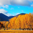 Daocheng