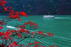Yangtze Cruise to see beautiful natural scenery