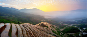 Longji Terraced Fields