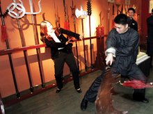 Chinese Martial Arts Museum