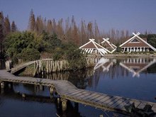 Chongming Island