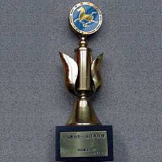 Association Outstanding Manager Award