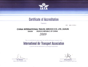 The International Air Transport Association The International Air Transport Association