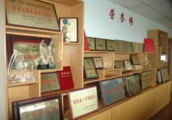 Our Company Awards