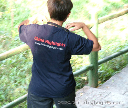 2007 New T-shirt