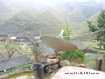 Longji Hiking Trip