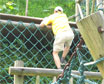 CITS Guilin team building outing