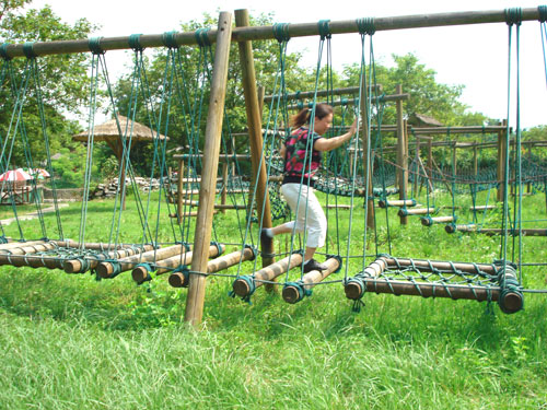 Colleague on Hangling Bridge