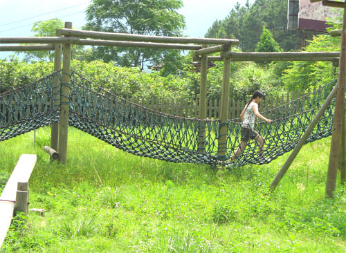 Sanke on Rope Bridge