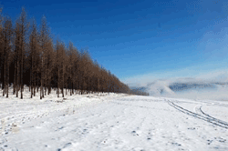 Alshan Ski Resort in Inner Mongolia
