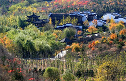 Beigong Forest Park