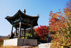 Miaofeng Mountain red leaves