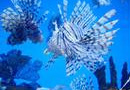 Beijing Aquarium