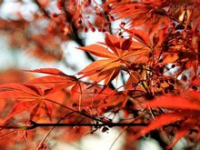 Changsha Scenery in September