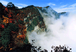 Red leaves on Mount Emei