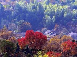 Autumn colors on Four Girls Mountain