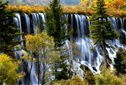 Autumn scenery in Jiuzhaigou