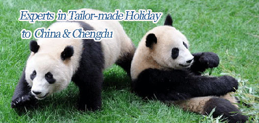 Tailor make a Chengdu tour