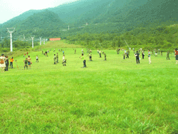 Xining Snow Mountain Ski Resort grass skiing