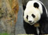 Chengdu Hotels