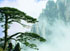 Huangshan Hotels