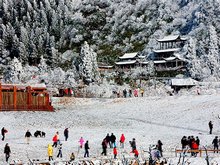 Chongqing January Scenery