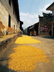 Chongqing September Scenery