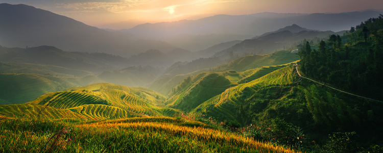 Longji Rice Terraces