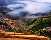 Guilin Essence & Longsheng Short Hiking