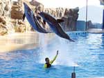 Ocean Park