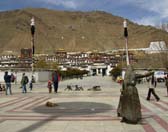 Lhasa Essence, Shigatse And Nakchu Tours