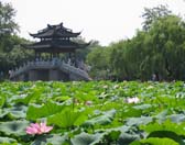 Essence Of Shanghai And Hangzhou Tour