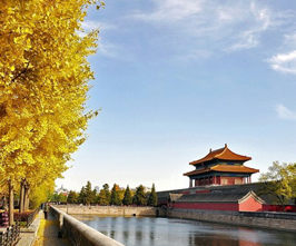 The Forbidden City