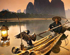 Guilin Cormorant Fishing