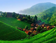 Longji Terrace Field
