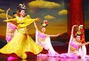 Tang Dynasty Show and Dumpling Banquet