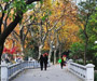 Fuxing Park
