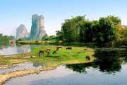 Guilin Flights