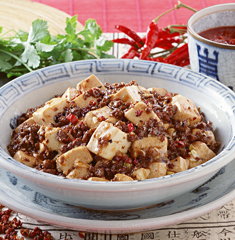 Ma Po Tofu