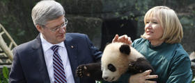 Panda Keeper Program and Chengdu Highlights Tour