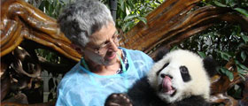 Panda Keeper Program and Chengdu Highlights Tour