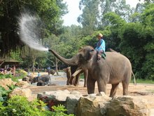 Guangzhou Xiangjiang Safari Park