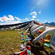Tibet