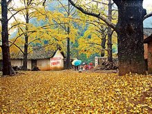 Scenery in Guilin in November