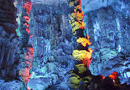 Reed Flute Cave